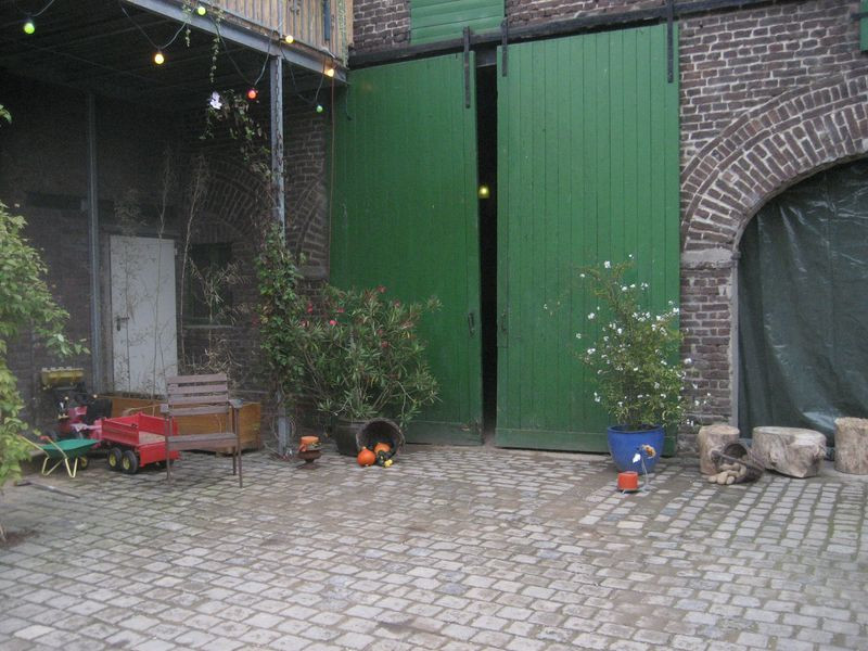 IMG_7687 [800x600].JPG